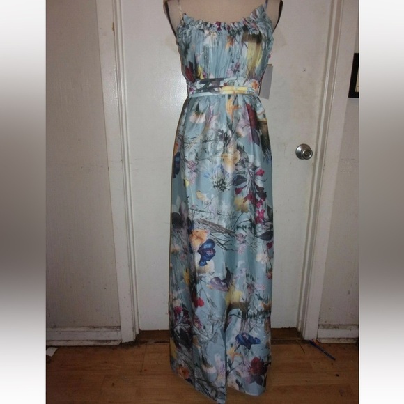 Little Mistress Floral Maxi Dress in Light Blue - Picture 1 of 10